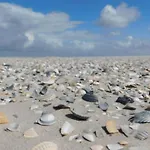 Rust Op De Kust - 10 Pers - 4 Slpk - 2 Badk *