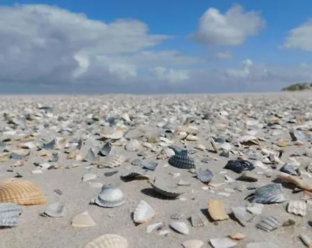 Rust Op De Kust - 10 Pers - 4 Slpk - 2 Badk *