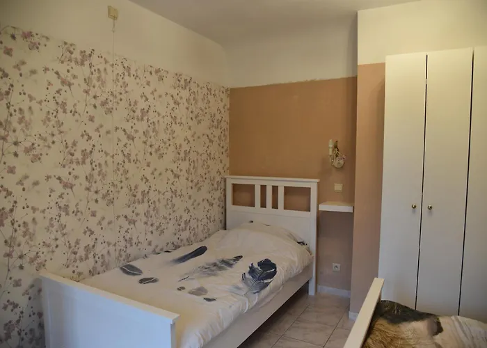 Rust Op De Kust - 10 Pers - 4 Slpk - 2 Badk *